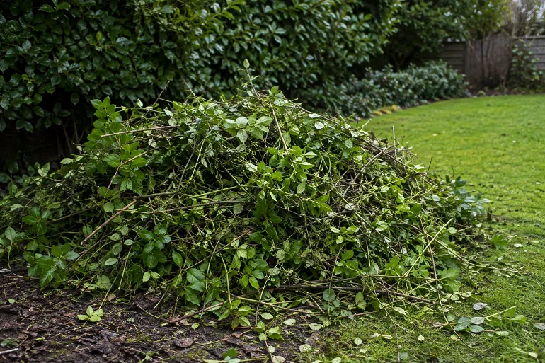 Tas de branches et de déchets de taille au fond d'un jardin, en attente d'évacuation