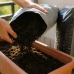 Quelle quantité de terreau pour une jardinière ? 1 Deux mains versent du terreau sombre depuis un sac ouvert dans une jardinière allongée posée sur un rebord de balcon ensoleillé.