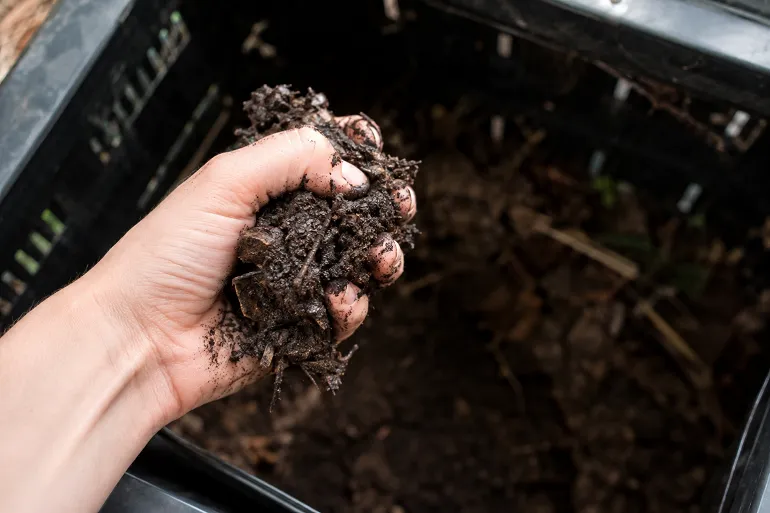 Une main serre une poignée de compost humide au-dessus d'un composteur ouvert : la matière se tient en motte compacte entre les doigts, avec une texture grumeleuse et quelques fragments de brindilles.