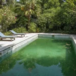 une piscine à l'eau verte car mal entretenue