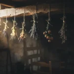 Comment faire sécher des fleurs sans les abîmer ? 2 Plusieurs petits bouquets suspendus tête en bas à une poutre de bois dans une pièce sombre, liés avec de la ficelle, éclairés d'un seul côté par une lumière douce.