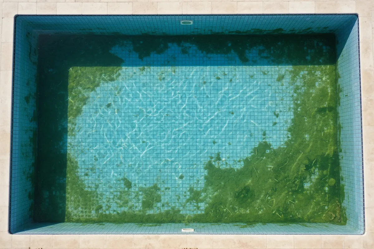Vue plongeante sur une piscine à l'eau parfaitement transparente laissant voir un fond entièrement recouvert d'un dépôt vert et glissant.