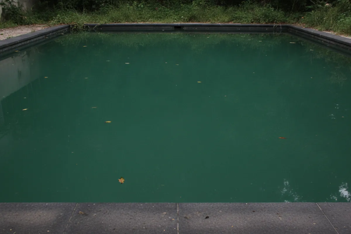 Piscine verte : vue rasante sur une piscine dont l'eau est d'un vert foncé opaque, sans aucun fond visible, la ligne d'eau marquée d'une bande verte plus sombre et quelques feuilles en surface.