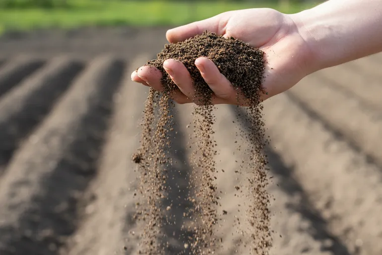 Planter en mars : une main ouverte tient une motte de terre sombre qui s'émiette entre les doigts, des miettes tombant vers une planche de potager.