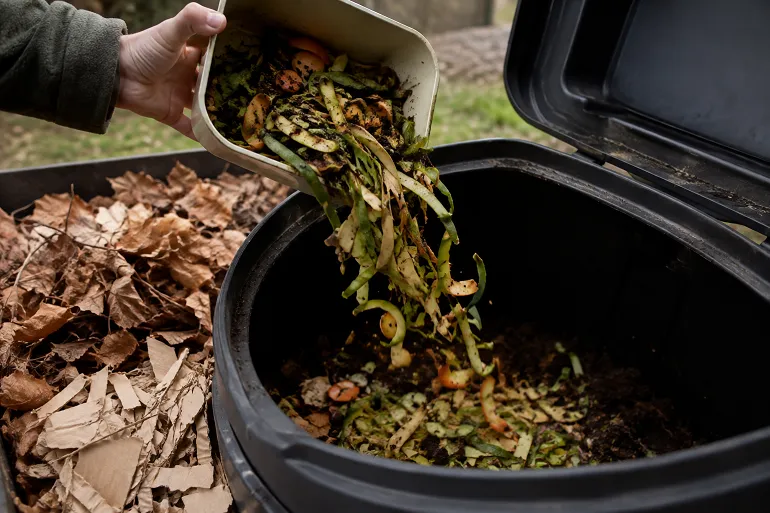 Épluchures versées d'un bioseau dans un composteur, feuilles mortes et carton prêts à côté