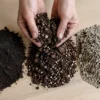 Trois substrats différents côte à côte : terreau fin, mélange aéré à perlite et mélange sableux drainant
