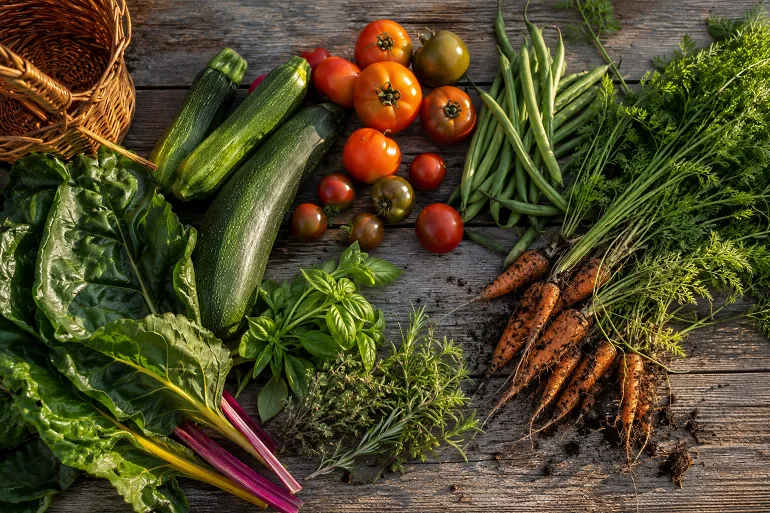 Récolte variée de légumes d'été posée sur une table de jardin, courgettes, tomates, haricots, carottes et blettes