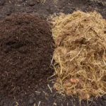 Compost ou fumier, comment choisir 4 Tas de compost et tas de fumier composté côte à côte, textures différentes