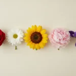 Assortiment de fleurs coupées de plusieurs espèces et couleurs posées sur une table en bois clair
