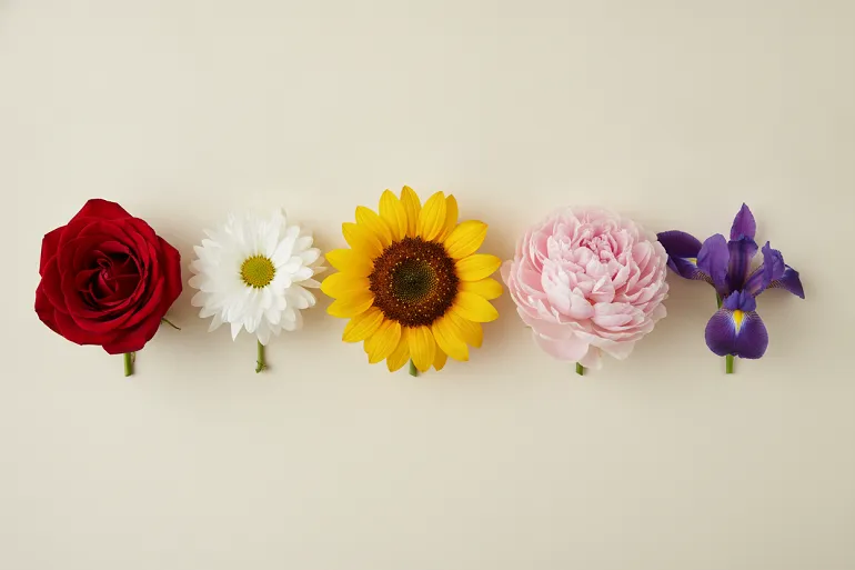 Assortiment de fleurs coupées de plusieurs espèces et couleurs posées sur une table en bois clair
